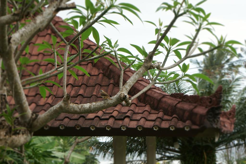 Puri Angsa Saba Apartment เกอรามัส ภายนอก รูปภาพ